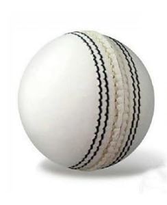 Raaz Cricket Leather Ball - White