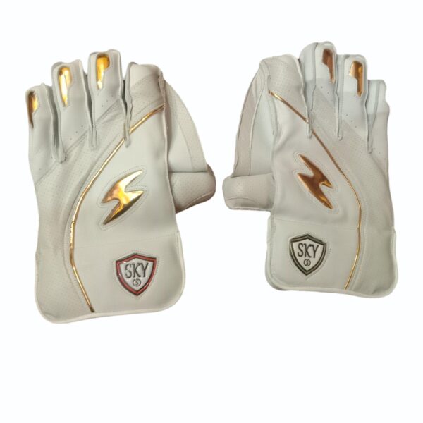 Raaz Cricket Batting Glove